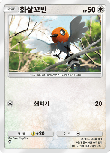 화살꼬빈